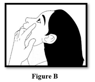 Figureb (Figb)