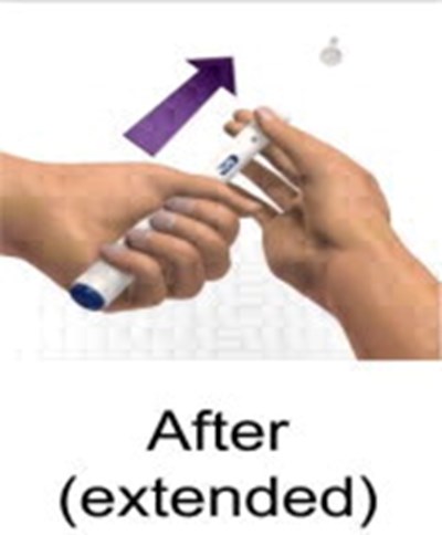 Avo08 0020 13