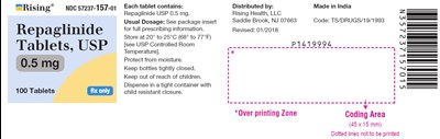 repaglinide-fig2.jpg PACKAGE LABEL-PRINCIPAL DISPLAY PANEL - 0.5 mg (100 Tablet Bottle) - repaglinide fig2