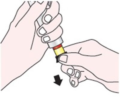 Figure-8 (Figure 8)