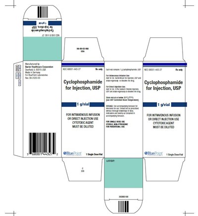 image-06.jpg Cyclophosphamide for Injection 1g Vial Carton - image 06