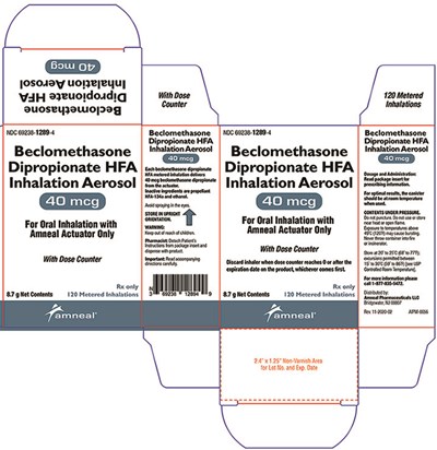 40 Mcg Ifc (Beclomethasone Dipropionate Hfa Inhalation Aerosol 11)