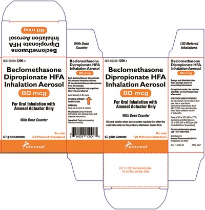 80 Mcg Ifc (Beclomethasone Dipropionate Hfa Inhalation Aerosol 13)