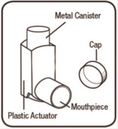 Figure A (Beclomethasone Dipropionate Hfa Inhalation Aerosol 5)