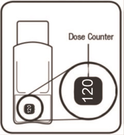 Figure B (Beclomethasone Dipropionate Hfa Inhalation Aerosol 6)