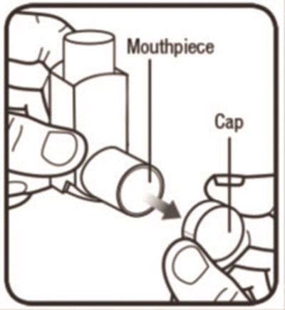 Figure C (Beclomethasone Dipropionate Hfa Inhalation Aerosol 7)