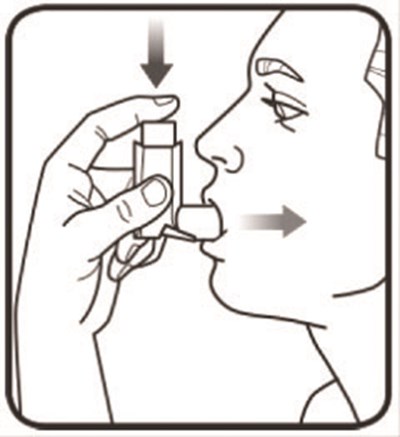 Figure E (Beclomethasone Dipropionate Hfa Inhalation Aerosol 9)