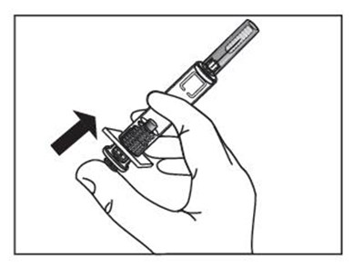 Figure D - bdf0248f 2aff 42cd 8bf4 639c0ae2d913 04