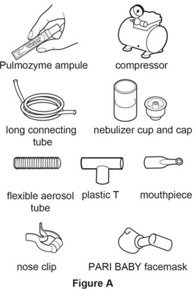 Figure A - pulmozyme 02