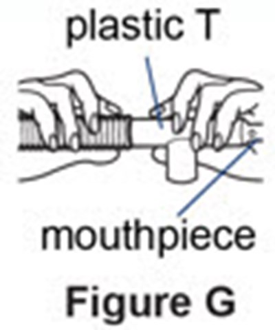 Figure G - pulmozyme 08