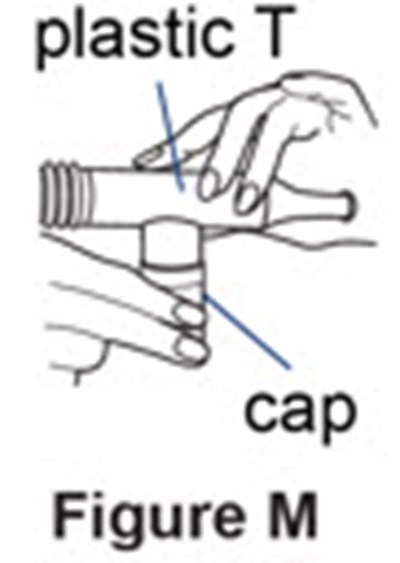 Figure M - pulmozyme 14