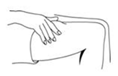 Figure L (Pegasys 31)