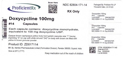 image-01.jpg 82804-171-14 - image 01