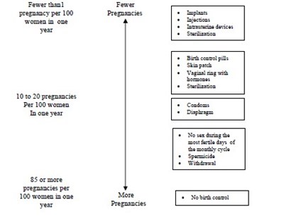 image description - chart