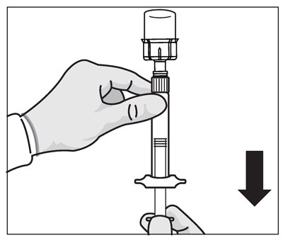 1 (Image 12)