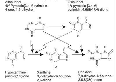 Allopurinoltabletsfigure (Allopurinoltabletsfigure)