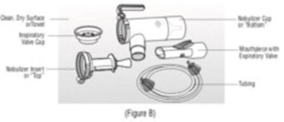Figure B (Kit00 0002 06)