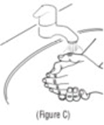 Figure C (Kit00 0002 07)