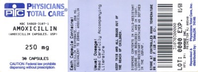 Amoxicillin 250 mg Capsule Label - 3107