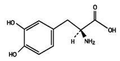 Structure (Lectaborion M Figure 02)