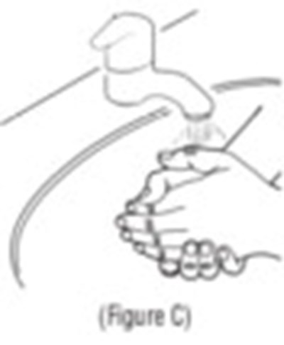 Figure C (Tob02 0001 06)