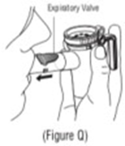 Figure Q (Tob02 0001 19)
