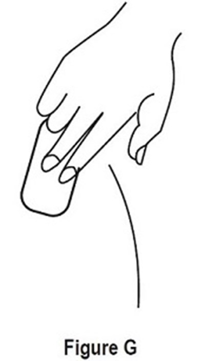 Estradiol Transdermal System - 456a0f03 c5af 42fd a057 a706354179c4 11