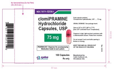 Clomipramine Hydrochloride Capsules, USP - 1efd517e a459 4991 aa1e b92486e8aff5 04