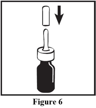 figure-6.jpg - figure 6