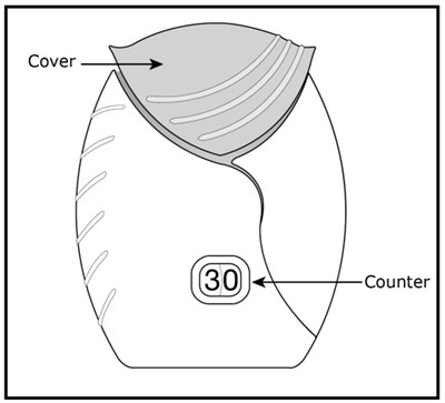 Ifu Figure C.jpg (Incruse Ellipta Spl Graphic 10)
