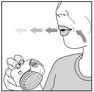 Ifu Figure E (Incruse Ellipta Spl Graphic 12)