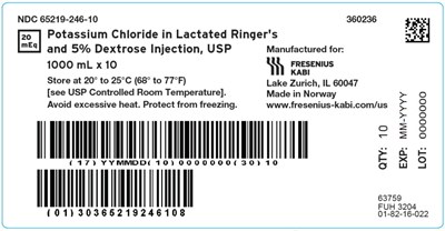 Package Label (PRINCIPAL DISPLAY –Potassium Chloride in Lactated Ringer's and 5% Dextrose Case Label)