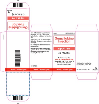 Principal Display Panel - 1 g/26.3 mL Vial Carton - gemcitabine 08