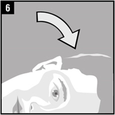Image (Figure 08)
