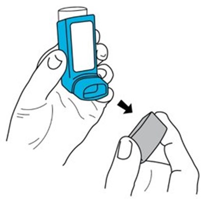 Instructions For Use Figure 2 (Image 11)