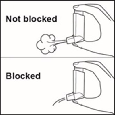 Figure I - fluticasonepropionatehfa spl graphic 13