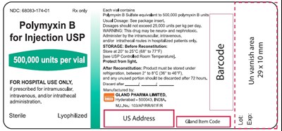 Polymyxinb02 (Image2)