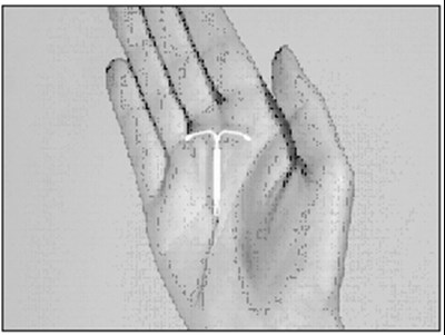 2f8a3831 57ff 46c1 b09b f56a3347ccc7 01