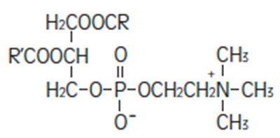 Phoscl (Intralipid Figure 13 Phosclne Intrlp)