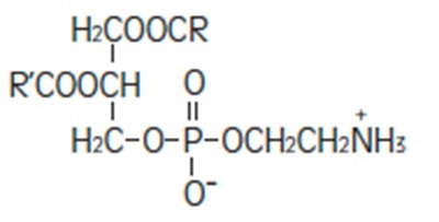 Phosam (Intralipid Figure 14 Phosamn Intrlp)