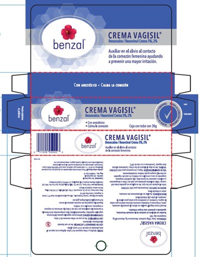 Vagisil Anti Itch Creme Regular Strength 02