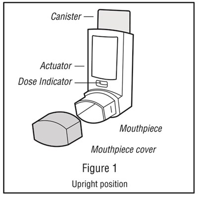 1 (Image 10)