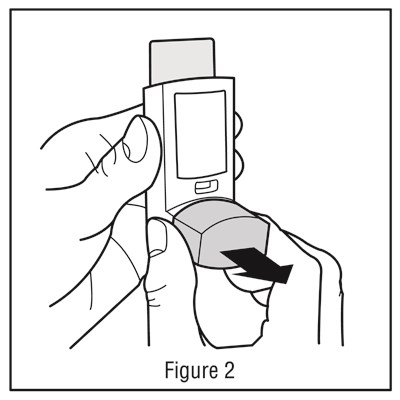 2 (Image 11)