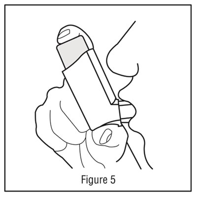 5 (Image 13)
