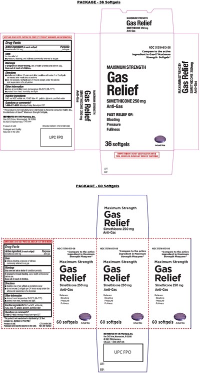 CVS-813 - 51316788 36