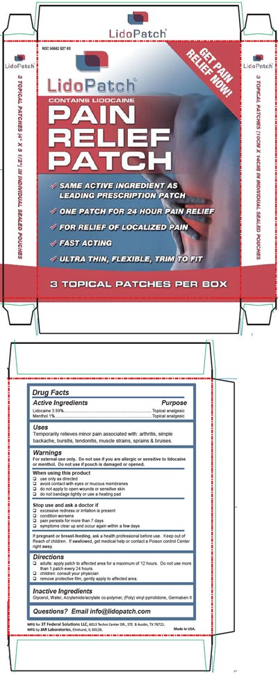 Principal Display Panel (3 Topical Patch Carton)