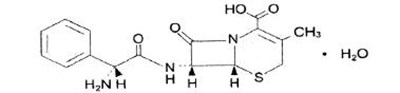 cephlaexin-capsules--figure-1.jpg molecularstr - cephlaexin capsules  figure 1