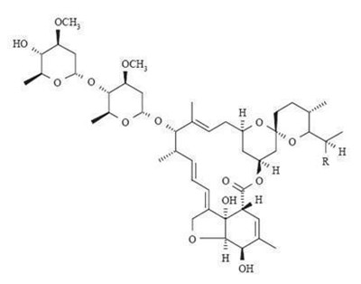 1 (Image 1)