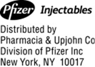 phy0b-0003-02.jpg Logo - phy0b 0003 02