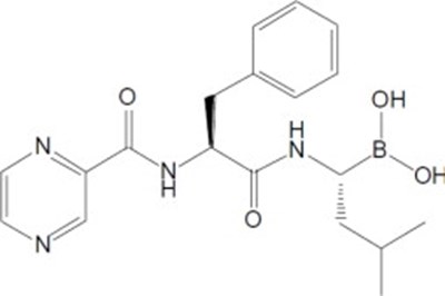 Chemical Structure (Bor07 0001 01)